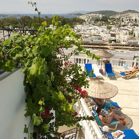 Aparthotel Roadhouse 2*